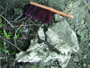 Hellgraue, unregelmäßig geformte Gipsknolle im Tonstein des Gipskeupers (232 bis 222 Millionen Jahre) von etwa zwei bis drei Dezimetern Kantenlänge.