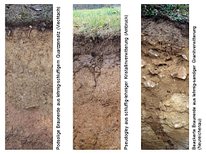 Drei Beispiele für Böden im Bayerischen Wald: Podsolige Braunerde aus lehmig-schluffigem Quarzzersatz (Viechtach), Pseudogley aus schluffig-lehmiger Kristallinverwitterung (Arnbruck) und beackerte Braunerde aus lehmig-sandiger Granitverwitterung (Neureichenau).
