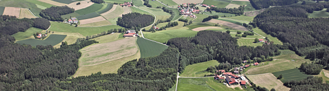 Luftbild: Vorderer Bayerischer Wald mit landwirtschaftlich genutzten Rodungsinseln.