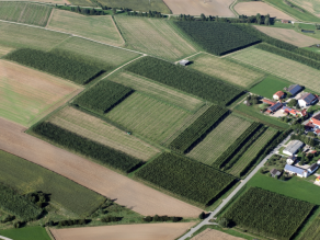 Luftbild von Hopfenfeldern in der Hallertau.