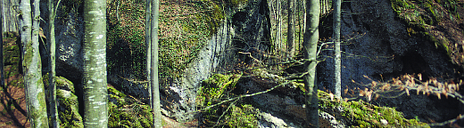 Große Blöcke aus verfestigten, kaltzeitlichen Schottern in Schwaben (Geotop Nr. 43). Mehr erfahren Sie unten über den Link 'Teufelsküche Obergünzburg'.