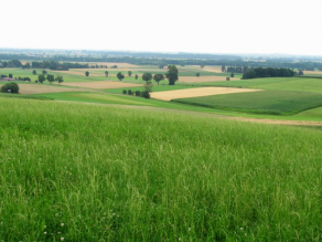 Hänge und Täler mit intensiver Grünlandnutzung und landwirtschaftlich genutzten Flächen.