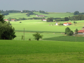 Wiesen und Felder mit einigen Baumgruppen.