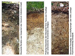 Drei Beispiele für Böden in den Bayerischen Alpen: Braunerde-Rendzina aus Hangschutt über Murschutt (Kalkstein) (Inzell), podsolige Braunerde über Braunerde-Terra Fusca aus Hauptlage über carbonatischer Grundmoräne (Wallgau) und Braunerde-Pseudogley aus schluffig-toniger über tiefer, sandiger Flyschverwitterung (Saulgrub)