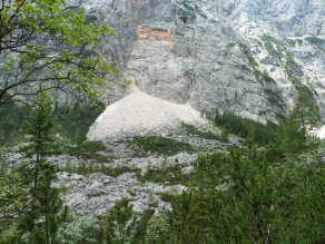 Blöcke von einem Felssturz vor einer Schutthalde am Hang