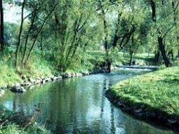 Fluss in der Rhein-Main-Niederung