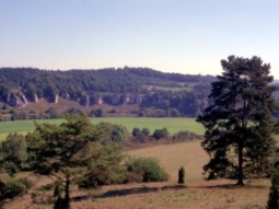 Zwölf-Apostel-Felsen in Mittelfranken