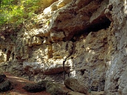 Im Klettergarten Baierbrunn in Oberbayern