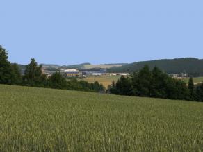 Weizenfeld mit einem Gewerbegebiet im Hintergrund