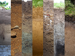 Sieben unterschiedliche Bodenprofile, die die Vielfalt bayerischer Böden veranschaulichen. Die Bodenprofile unterscheiden sich unter anderem in der Farbe und Bodenfeuchte, dem Gefüge und Bewuchs auf der Oberfläche.