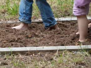 Kinderfüße auf einem Barfußpfad aus Blatt- und Nadelstreu.