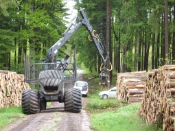 Forstmaschine im Einsatz