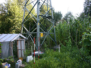 Strommast in einem Nutzgarten
