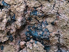Typische Trockenrisse und dunkle Eisen-Mangan-Flecken im Pseudogley