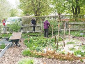 Der Öko- Färbergarten in Augsburg