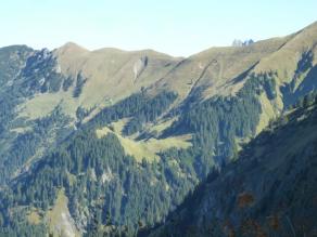 Steile Berghänge mit Bergwald