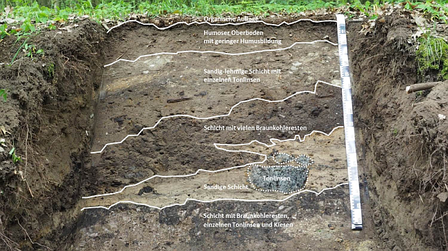 Aufgegrabenes Kippenbodenprofil bei dem die einzelnen, sichtbaren Schichten benannt sind