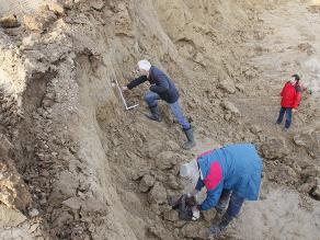 Blick von schräg oben auf drei Männer, die gerade an einer beigen Abbauwand arbeiten und fossile Funde bergen.