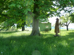 Streuobstwiese mit einem Schäferkarren im Hintergrund und eine geschnitzte Schäferfigur aus Holz.