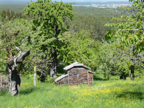 Streuobstwiese mit einem großen überdachten Insektenhotel aus Hölzern, Lochsteinen und Tontöpfen.