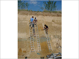 Drei Personen stehen auf Leitern an einer aufgeschlossenen Bodenwand mit deutlich sichtbaren Horizonten aus verschiedenen Eis- und Warmzeiten. Beschriftet sind die Horizonte von Lösslehm über Gley, Brodelboden und Löss bis zum Boden der heutigen Warmzeit mit Altersangaben von 115.000 bis 11.700 Jahren.