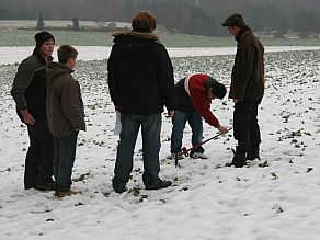 Entnahme einer Bodenprobe mit Hilfe eines Bohrstocks