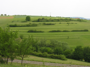 Ein Hang, bestehend aus Gehölzhecken, kleine Terrassen und einer Vegetationsdecke. Diese gliedern und schützen den Hang vor Erosion.