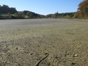 Ausgetrockneter Weiher