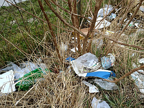 Angehäufte Verpackungskunststoffe liegen auf einer Wiese in einem Strauch und verdeutlichen, dass Littering eine Quelle für Plastik in Böden ist.