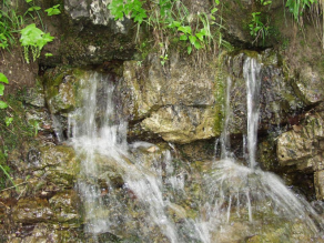 Quellaustritt aus einer Felswand – durch Spalten und Risse gelangt das Grundwasser an die Oberfläche.