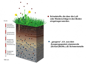 Erläuterung im vorausgehenden Text.