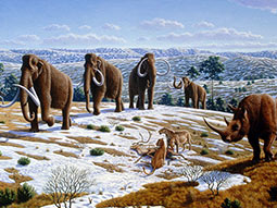 Urzeittiere wie Mammuts auf teil schneebedeckten Wiesen