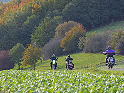 Motorradfahrer in herbstlicher Landschaft