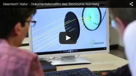 Eingebettete YouTube-Videos aktivieren