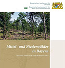 Im Broschürenportal der Bayerischen Staatsregierung öffnen