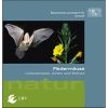 Im Broschürenportal der Bayerischen Staatsregierung öffnen