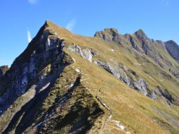 Alpines Bergpanorama