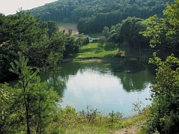 Blick auf den Frickenhäuser See