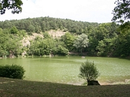 Blick auf den Frickenhäuser See