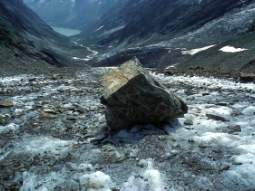 Beispiel für einen Findling (großer ortsfremder Felsblock) im Gebirge