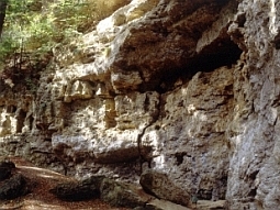 Die Felsen des Klettergartens