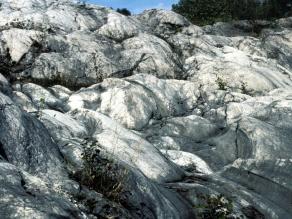 Durch Gletscher abgeschliffene Felsen
