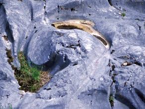 Eine Kritzung (langgezogene Schrammen im Fels), entstanden durch Gletscherschliff