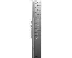 Zeittafel mit (übereinanderliegend dargestellt): Erdfrühzeit (bis vor 545 Mio. Jahren), Erdaltertum (bis vor 250 Mio. Jahren, unterteilt in: Kambrium, Ordovizium, Silur, Devon, Karbon, Perm), Erdmittelalter (bis vor 65 Mio. Jahren, unterteilt in: Trias, Jura, Kreide), Erdneuzeit (bis Heute, unterteilt in: Tertiär, Quartär)