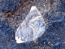 Detail des Gesteins