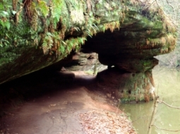 In der Schwarzachschlucht