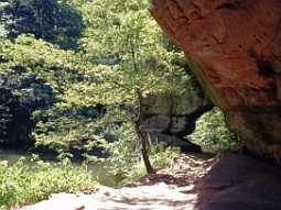 In der Schwarzachschlucht