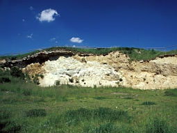 Felswand des aufgelassenen Steinbruchs