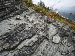 Detailaufnahme des Muschelkalks, der in Wellenform zu finden ist