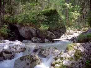 Ein Wildbach mit großen Felsblöcken